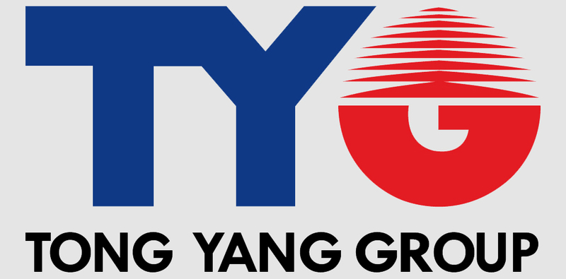 Tong yang group. Tyg. Tyg производитель. Tyg запчасть. Tyg эмблема.